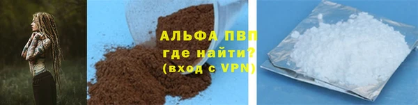 гашик Ветлуга