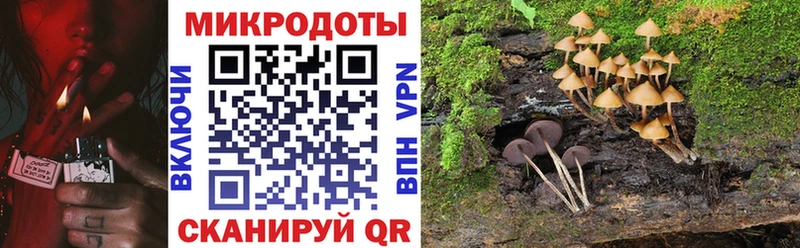 OMG ТОР  Лыткарино  Галлюциногенные грибы Psilocybe 