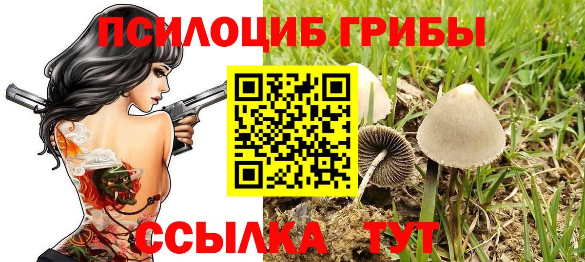 Галлюциногенные грибы Psilocybine cubensis  Вход с VPN  Лыткарино 